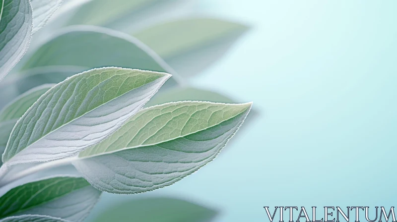 Intricate Green Leaves on Soft Blue-Green Background Intricate Green Leaves on Soft Blue-Green Background