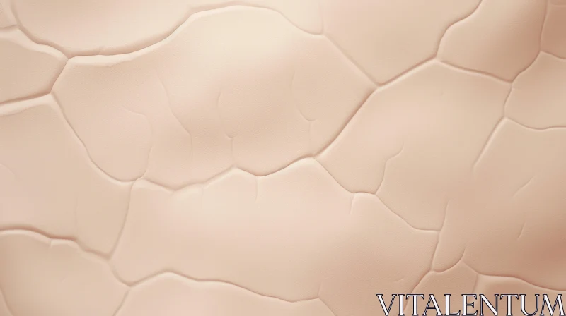 Dry Cracked Skin Texture with Wrinkles and Shadows Dry Cracked Skin Texture with Wrinkles and Shadows